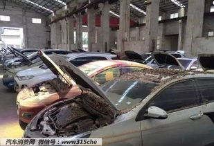 上萬泡水車來襲,購車需謹(jǐn)慎